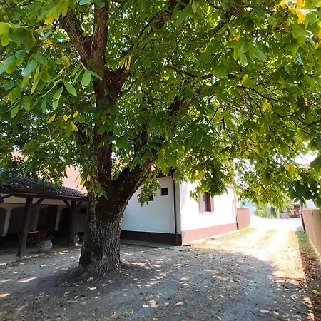 Private House Near Terme Catez * Cerklje ob Krki
